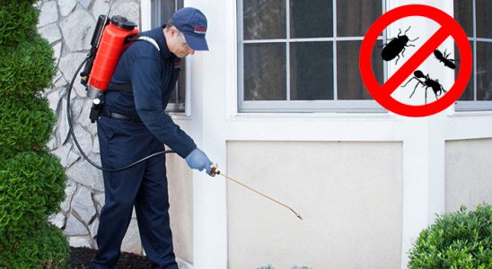 Kozluk Kemirgen İlaçlama böcek ilaçlama ve haşere kontrolü — ilaclama-tr.com